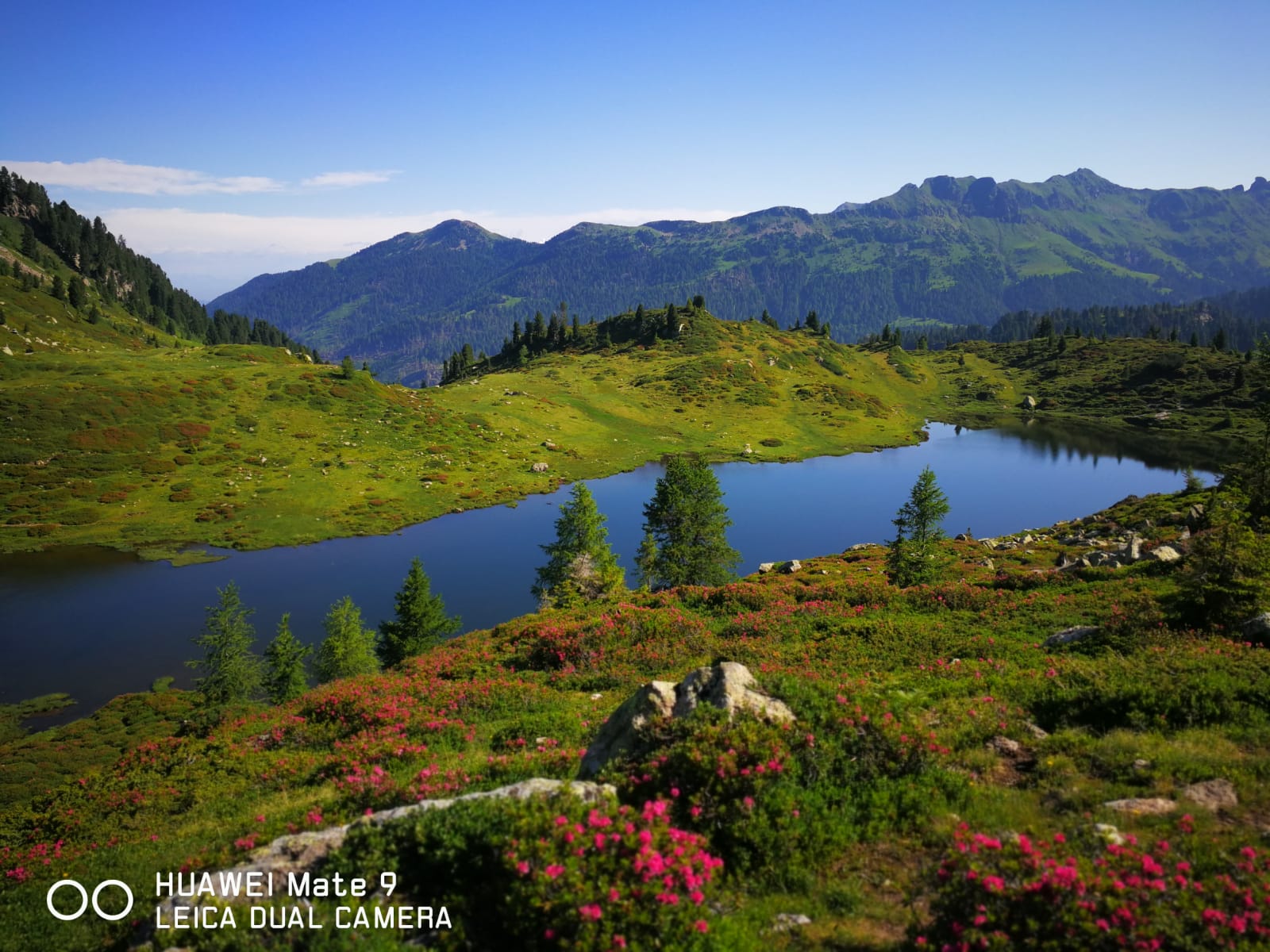 PassoManghen (7).jpeg